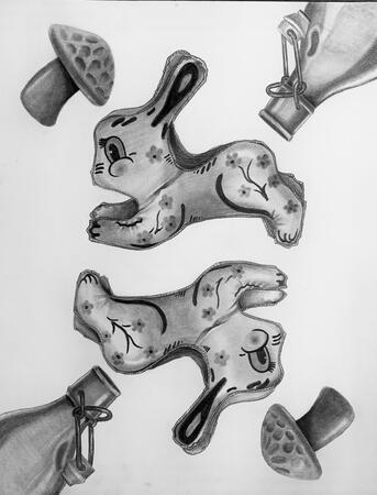 Mirrored Rabbits